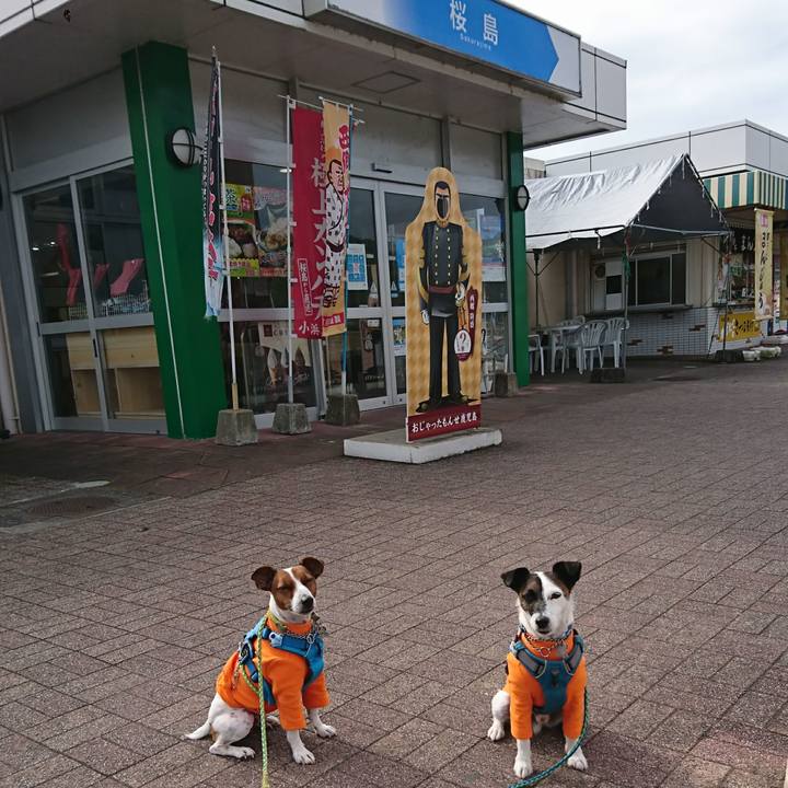 C25c7b82 5c88 41e2 ae39 bf401a0129bd 1606182900662