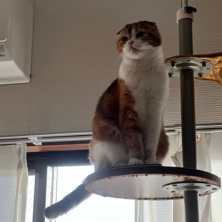 C25c881f 9916 46d8 84e9 cee289df68ba 1734705200087