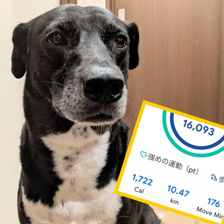 C25ceb88 7bda 43f6 9c5f 8a8e139a8fce 1697454654350