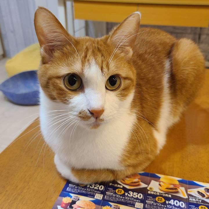 C25d2212 edc5 4e97 a662 6e2d80f66d13 1631536254822