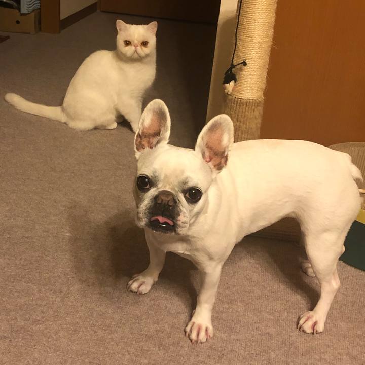 C25d2ad0 be0c 4070 92f9 304fd2e41d1f 1611664680207