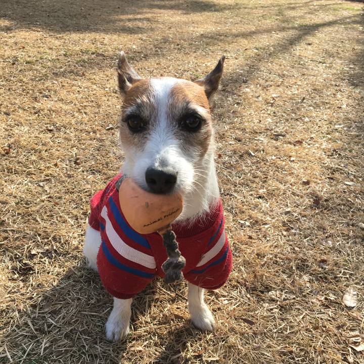 C25d453f 3772 489b bb2f 8d432e31ad5e 1553920419156