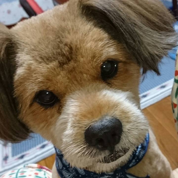 C25defe1 af2e 4288 9cf7 8f0fb39ba4ad 1536926690724