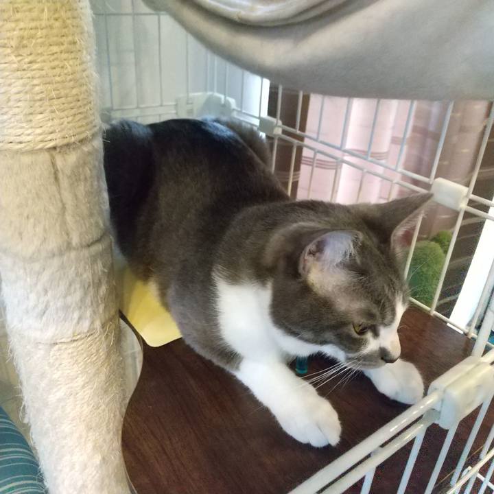 C25e156e b39c 406c b8df 647c78ffbb8d 1619658829099