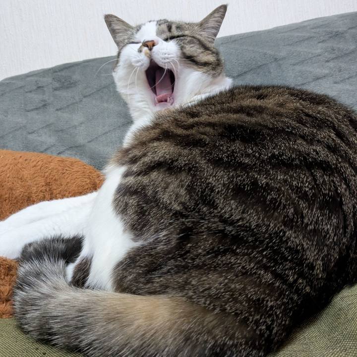 C25e7314 177f 4b78 bcf8 666d6e48bc49 1740641699130