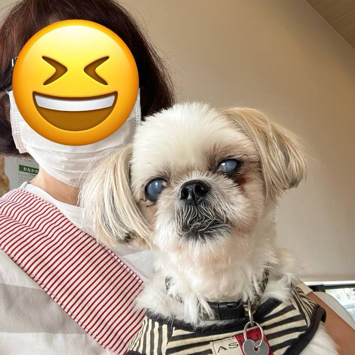 C25e817b 499f 422a 85d3 40de277dd86e 1754218851392