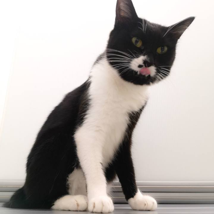 C25e9537 fa8d 499e 8707 61942b4e59d1 1580487065094