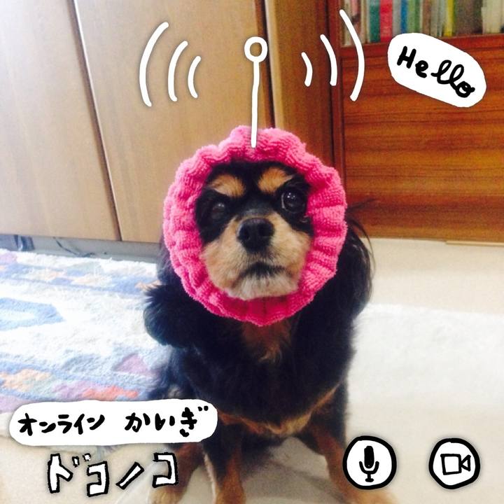 C25e9fc7 a113 408b b75b ce1b70ad4cca 1590680934915