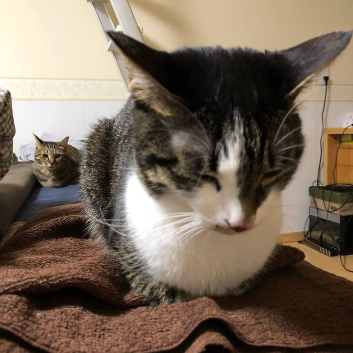 C25ea370 b791 430d 9eb5 02da329b9090 1514583672635