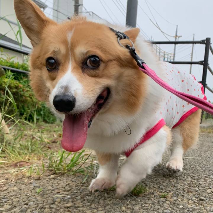 C25eb27f 5671 4c96 bebd 68cb512325a4 1591220712917