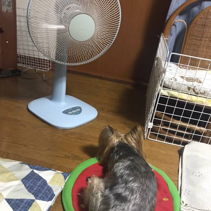 C25ec06a ab64 49ff a088 5da042a4a2cf 1596274117078