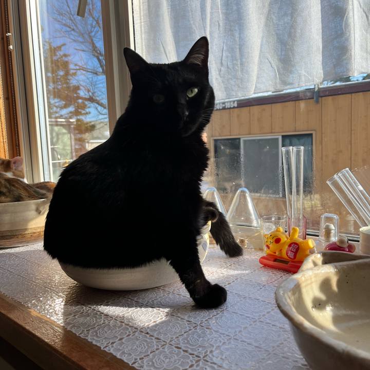 C25ed7ee 53b0 4a6d 883c 366bedcc3359 1701055852502