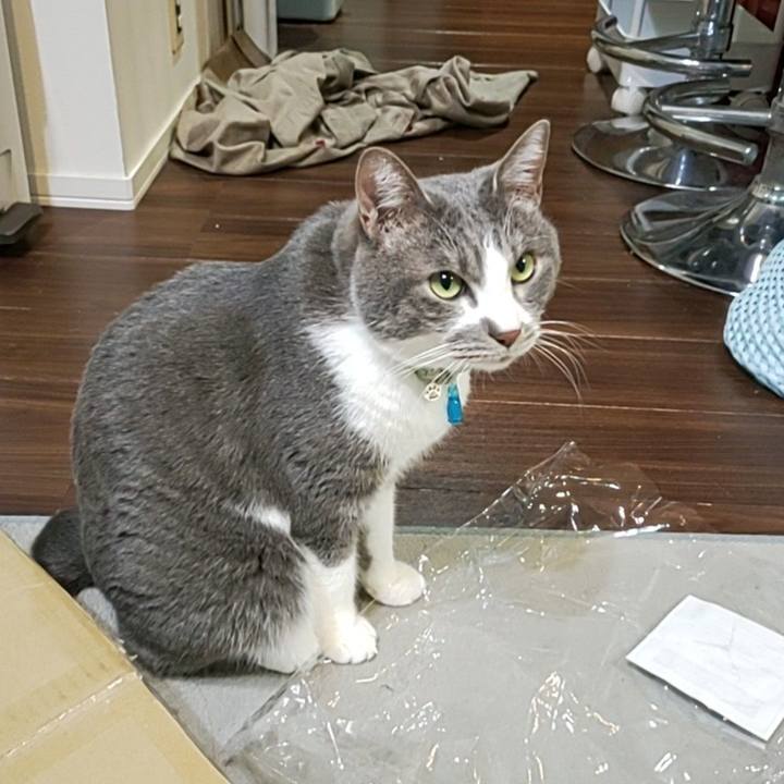 C25ed90c 268d 44d5 ab9c 61e66a7e941e 1708690795730