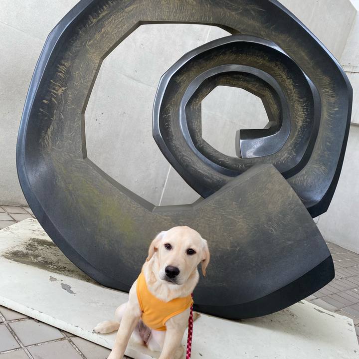 C25ee522 de9b 422a b9c7 d5db71d1de48 1617364444743