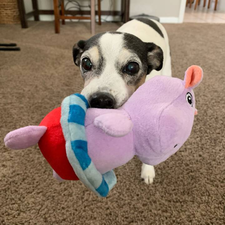 C25ee67b 1e79 48ab 9449 24b15e93f319 1626039961100