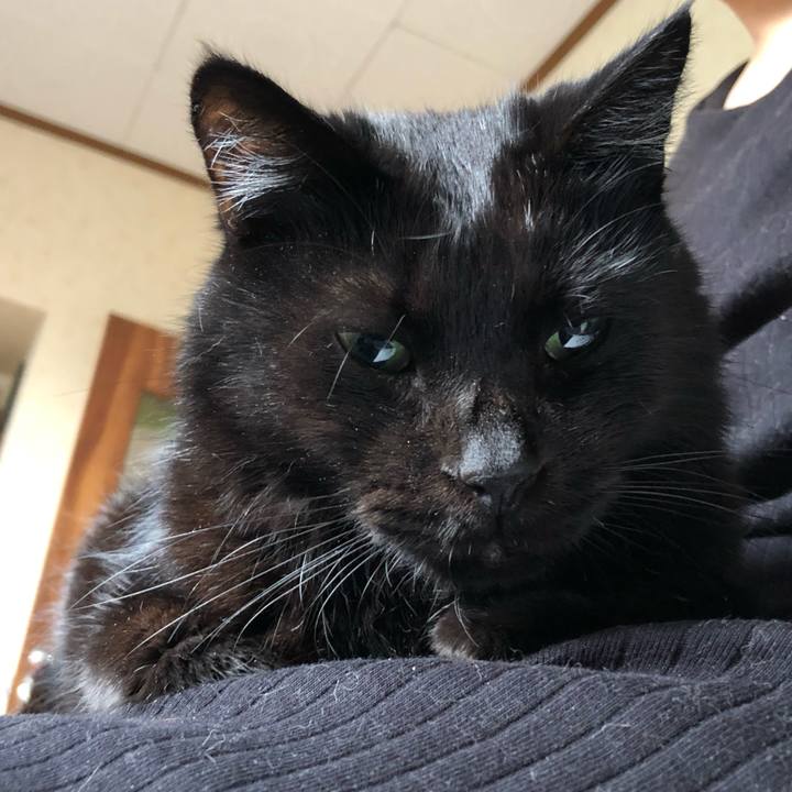 C25f041c 40cb 4922 9996 38e29660e7fa 1569705700623