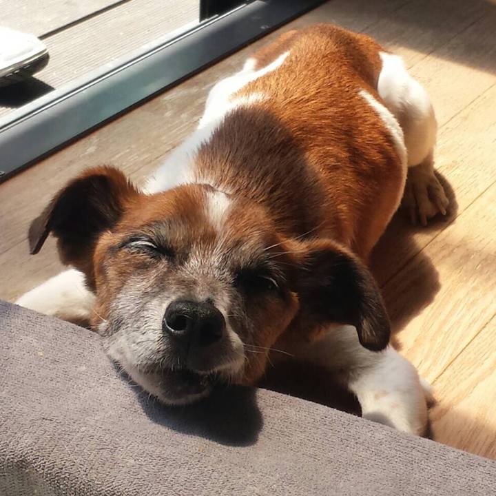 C25fbf56 1358 4e23 aaae 34a24e881769 1526463987974