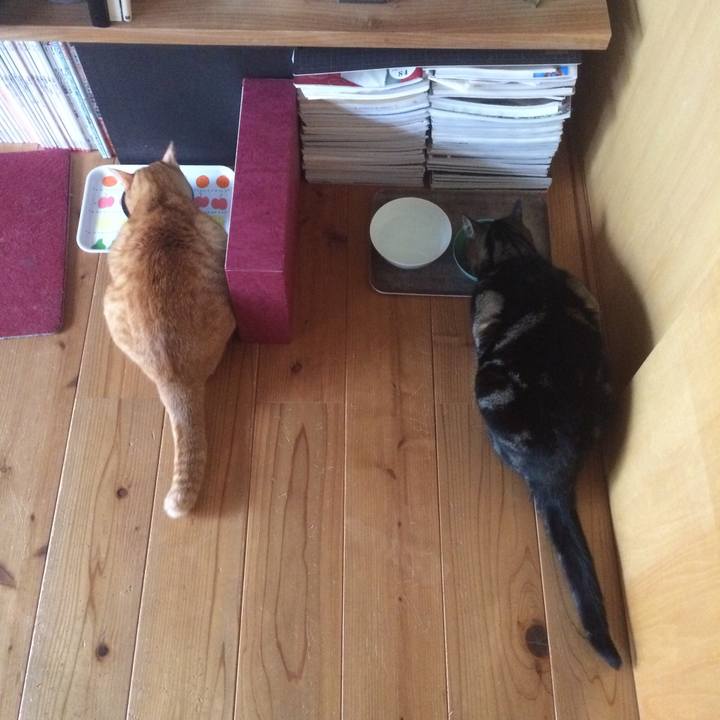 C25fc2ee a106 45b4 84d8 75374e83a674 1520550715667