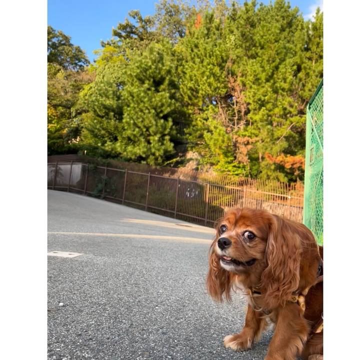 C25fc7a4 3f4d 44b3 82c3 e0caafed1c51 1662895313973