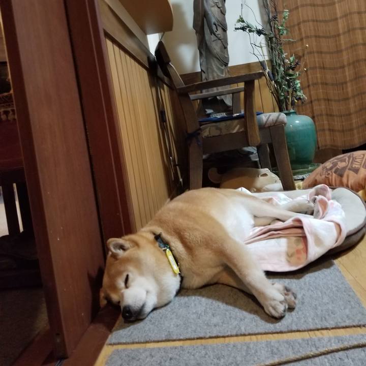 C25ff481 6791 4776 83df 40f5da3b5390 1649677596930