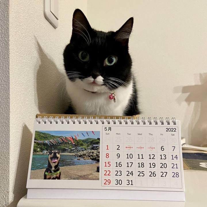 C2600a90 0059 4367 b5f4 35bc6db31279 1639705747062