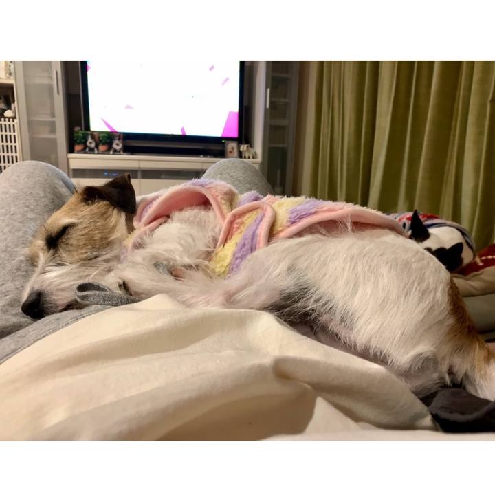 C2601983 0a99 4ea5 a6e2 bd85f5a7cded 1610704052901