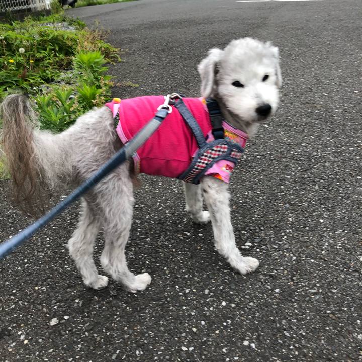 C2603add a3fa 4b13 b41b 5c2cbb3d9aad 1589785831708