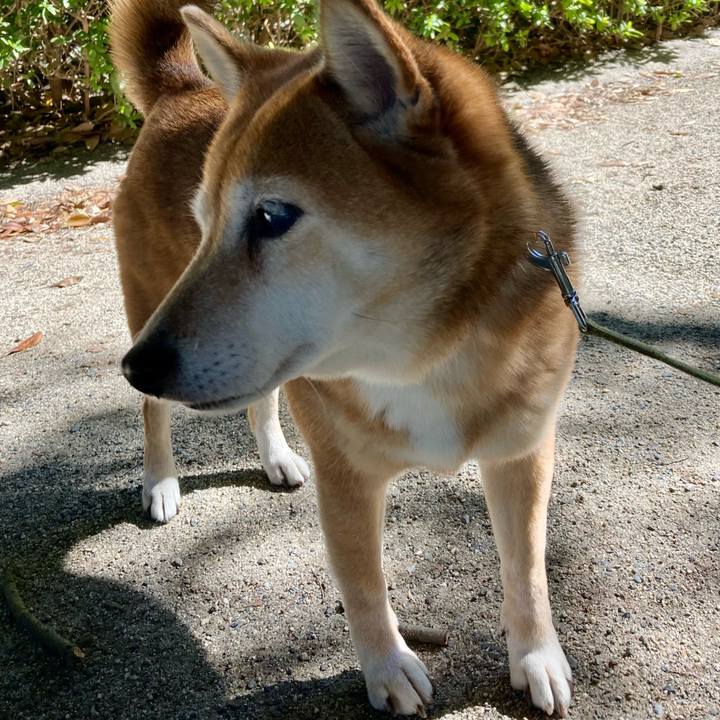 C26049be 3891 4527 a023 b53e0f0b8834 1634702029509