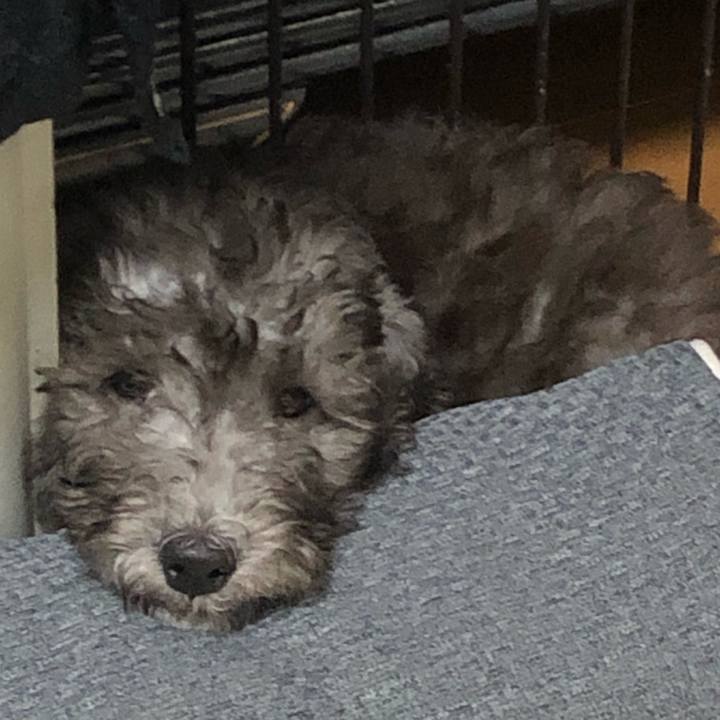 C26095f4 1b53 4dca b4c4 044b294cb163 1569377005546