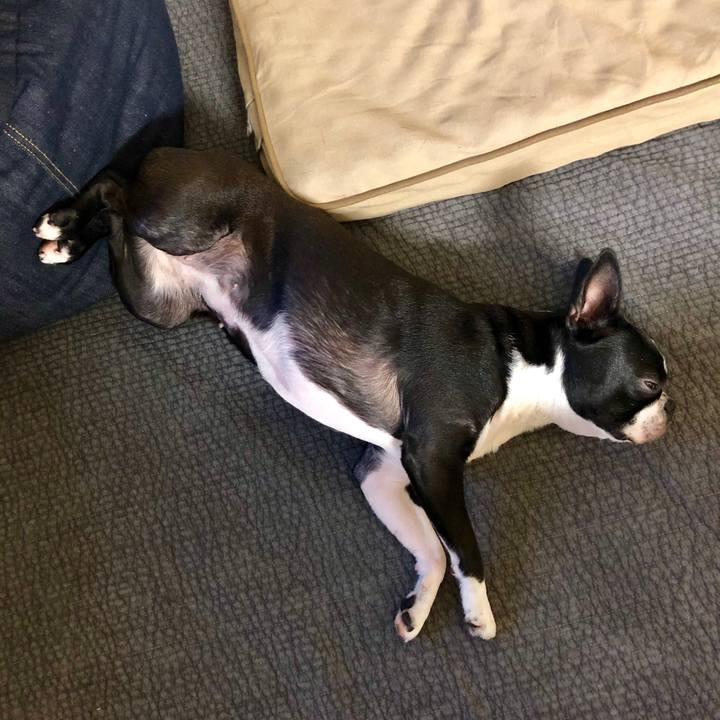 C260d73e 9436 4c8d 9d32 fcb8bae44b32 1561718270045