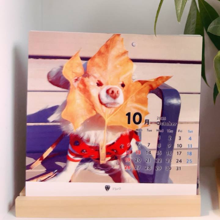 C260dcd6 2fc8 419e 905a d2cd32ff9a97 1759874826245