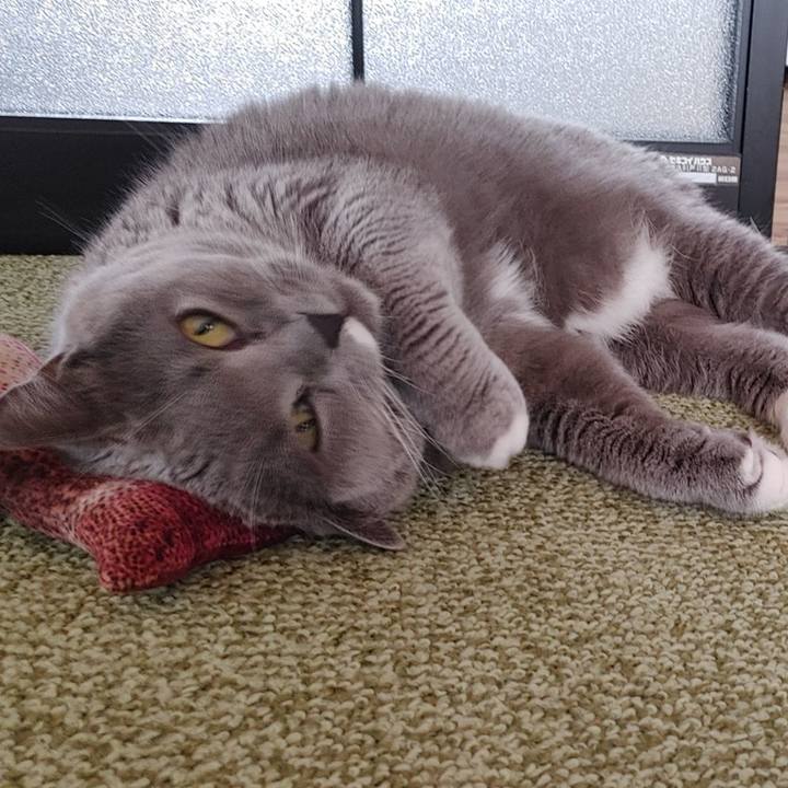 C260f581 ea18 4784 acbf 6d658c719a02 1648251140125