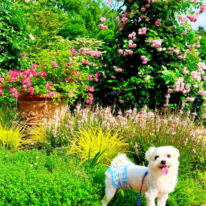 C260fb37 ebd7 4b7e 8875 976b2f666ab5 1684841286475