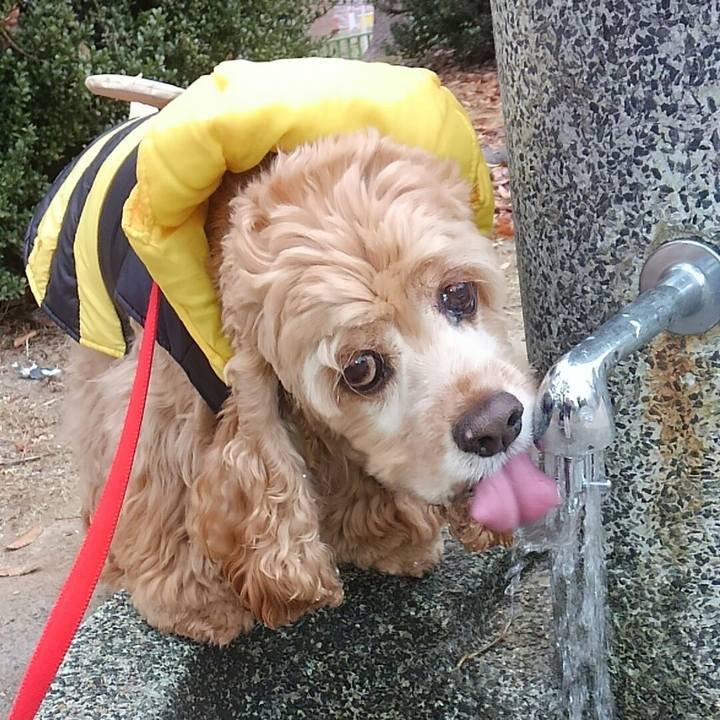 C26120b5 b4c6 46ff 8b79 c71251529a3b 1512705928027