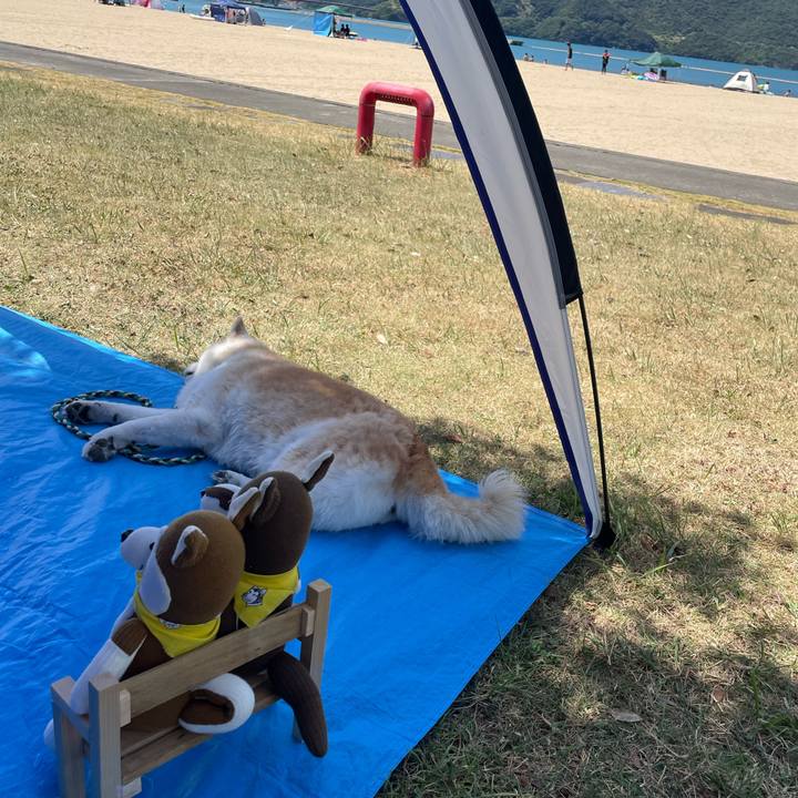 C26154e6 0a44 4f8b 9477 41d3a7f636ef 1691800367428