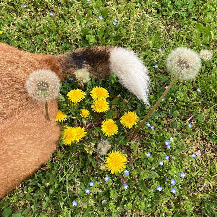 C2615cae 9e2e 4e8e b1a1 7efde1e91e44 1713484563972