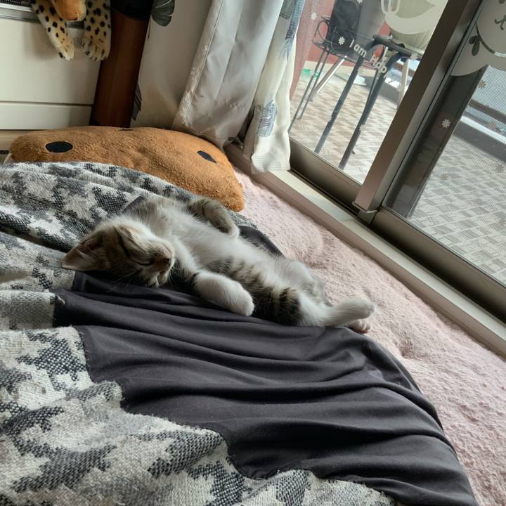 C261798f ab75 4063 aff0 ad8b96098f7e 1623656851795