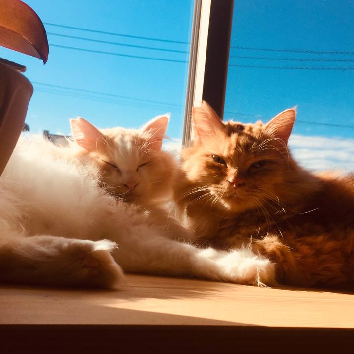 C261d811 a133 4165 b524 56e90752cf29 1580340347392