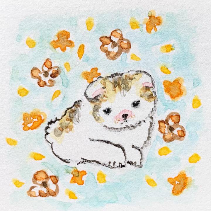 C2626992 86d4 4250 9646 b684ecbb18bf 1637365733723