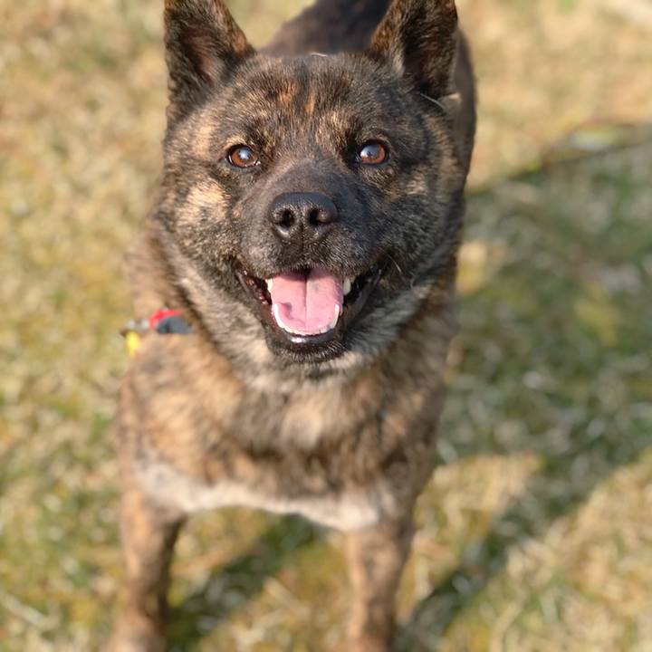 C2629b26 8e17 4a8d a0c5 5ef5c6b390e4 1521974037369