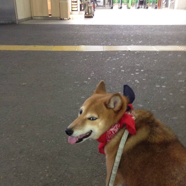 C26306dd 12d1 40a2 b971 4b79db8380c8 1533982320276