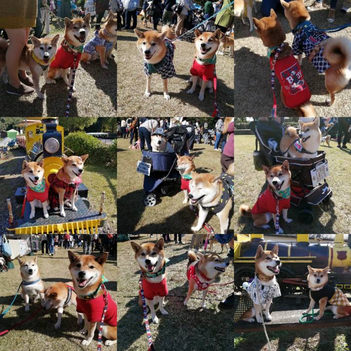 C2631609 9483 4a3d 8399 4a7ac8cb8c26 1667913153790