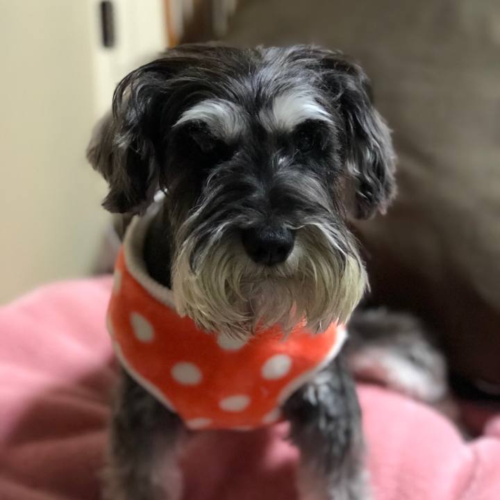 C263844b eb99 4251 a101 ac1ca1b856ce 1523882634253