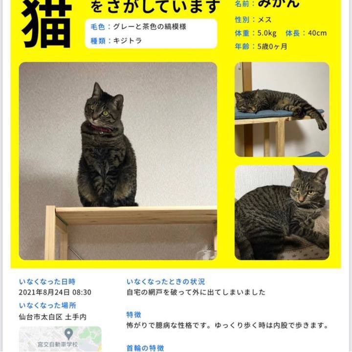 C263bd8f 7905 4446 b18b ca8870ec35a6 1629876216744