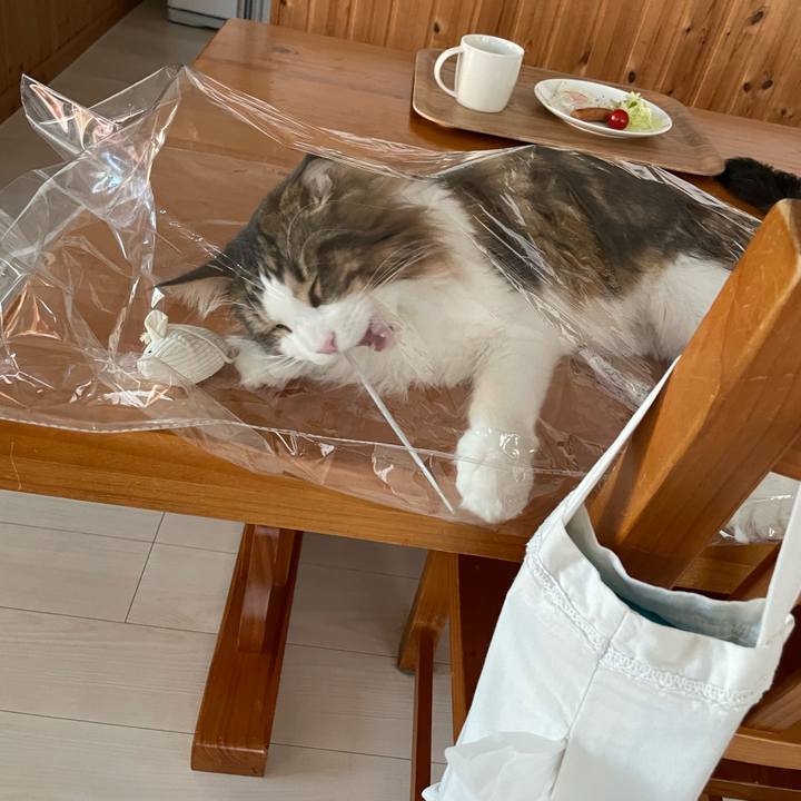 C263fdd1 b429 4d34 9db1 416339c8214b 1666648909928