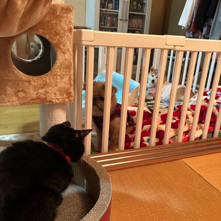 C26414a4 2d00 4004 bc62 bc1bb9643bcc 1736168997528