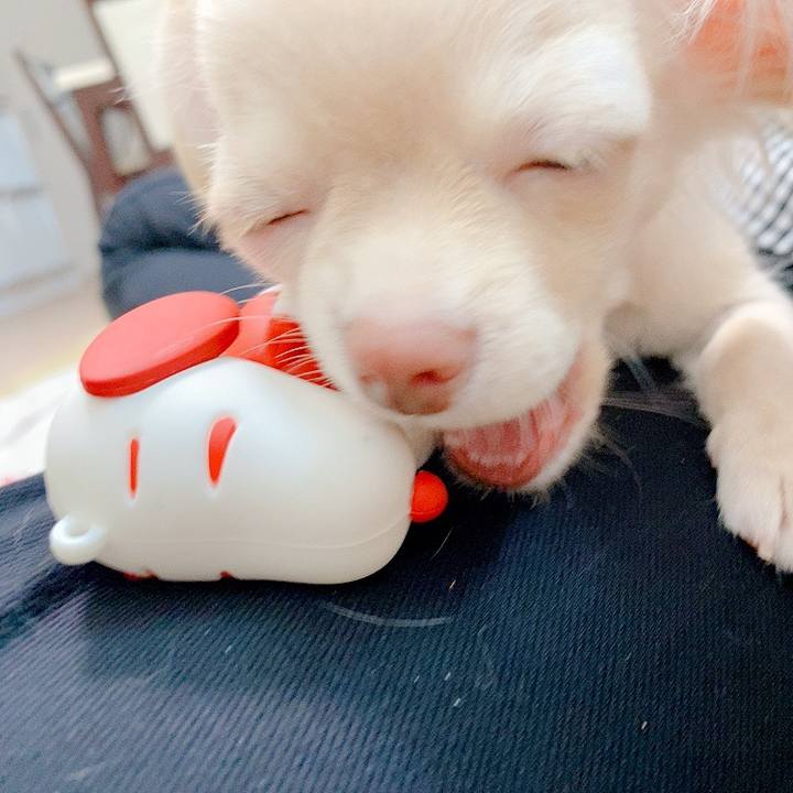 C264371d 9667 41fa 81fa 3859b2392689 1592542804076