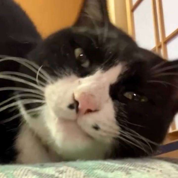 C2648972 790a 4e71 9e54 a34d8a9f0539 1737685159036