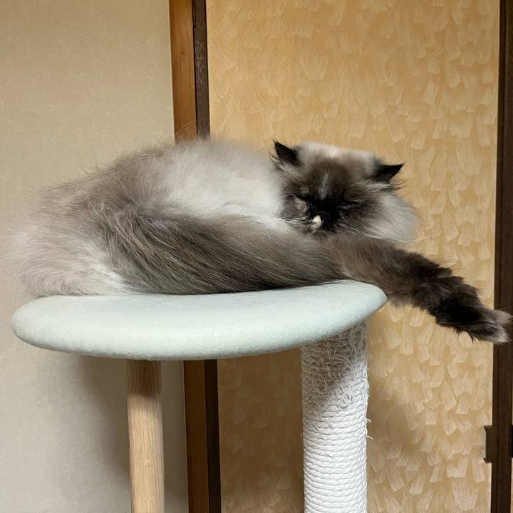 C264a765 3732 445b ad6b a651344dae1b 1705843699664