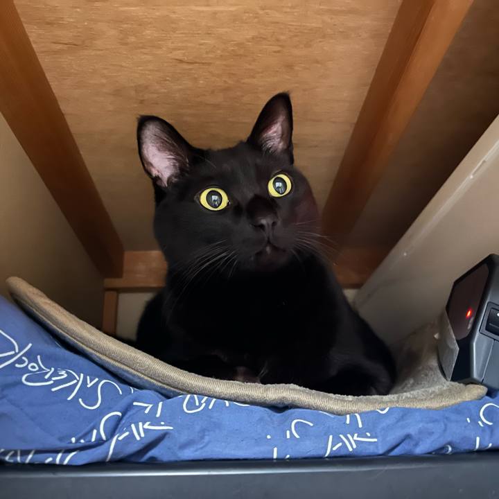 C264bee1 5f9a 49a5 8e41 95db931b8ffa 1765896961574